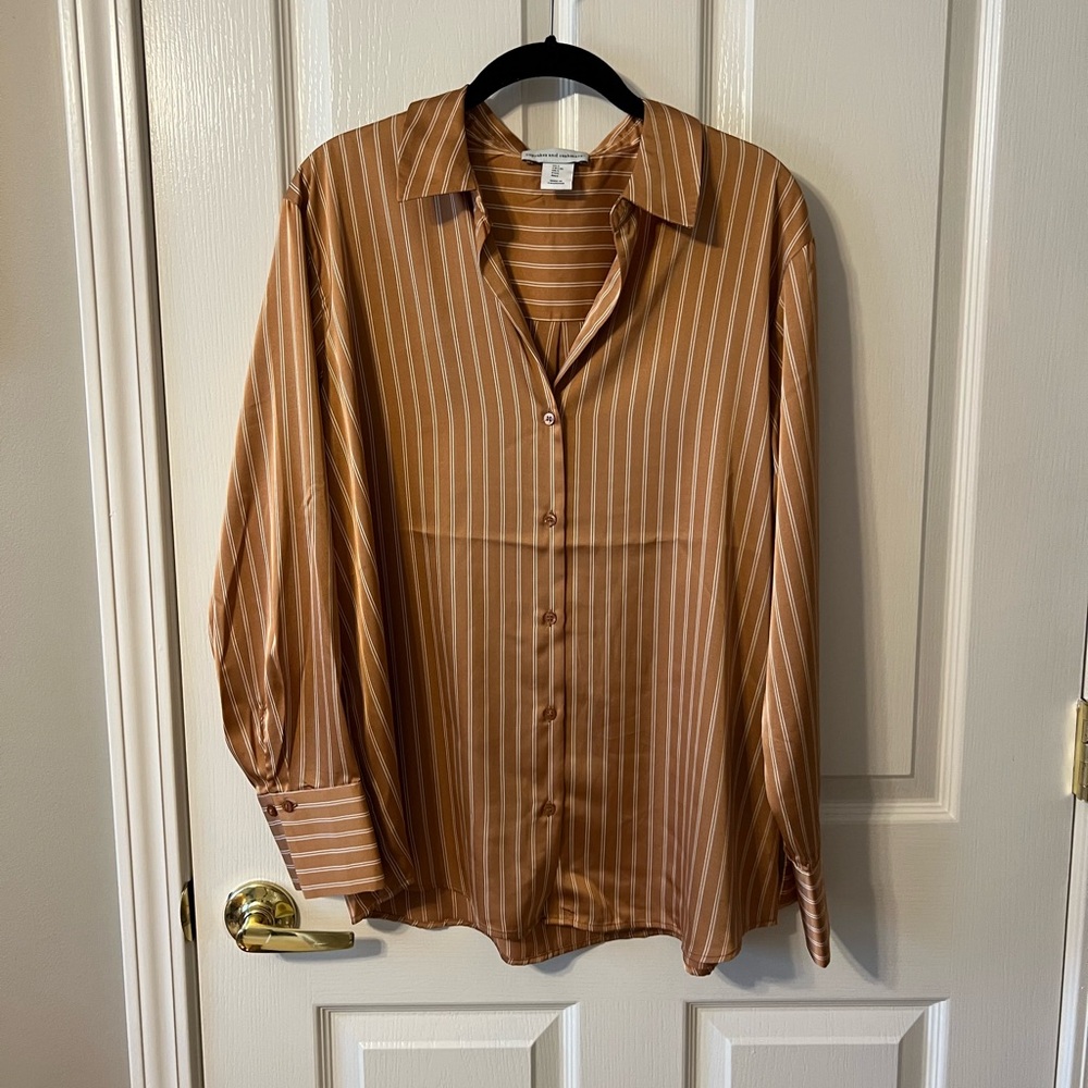 Burnt Orange Stripped Satin Blouse